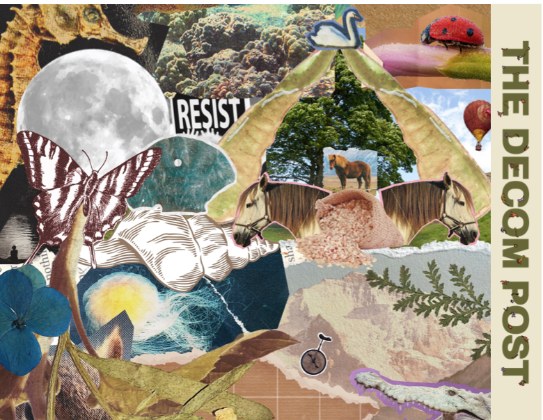 Mad Libs: Poetry Edition