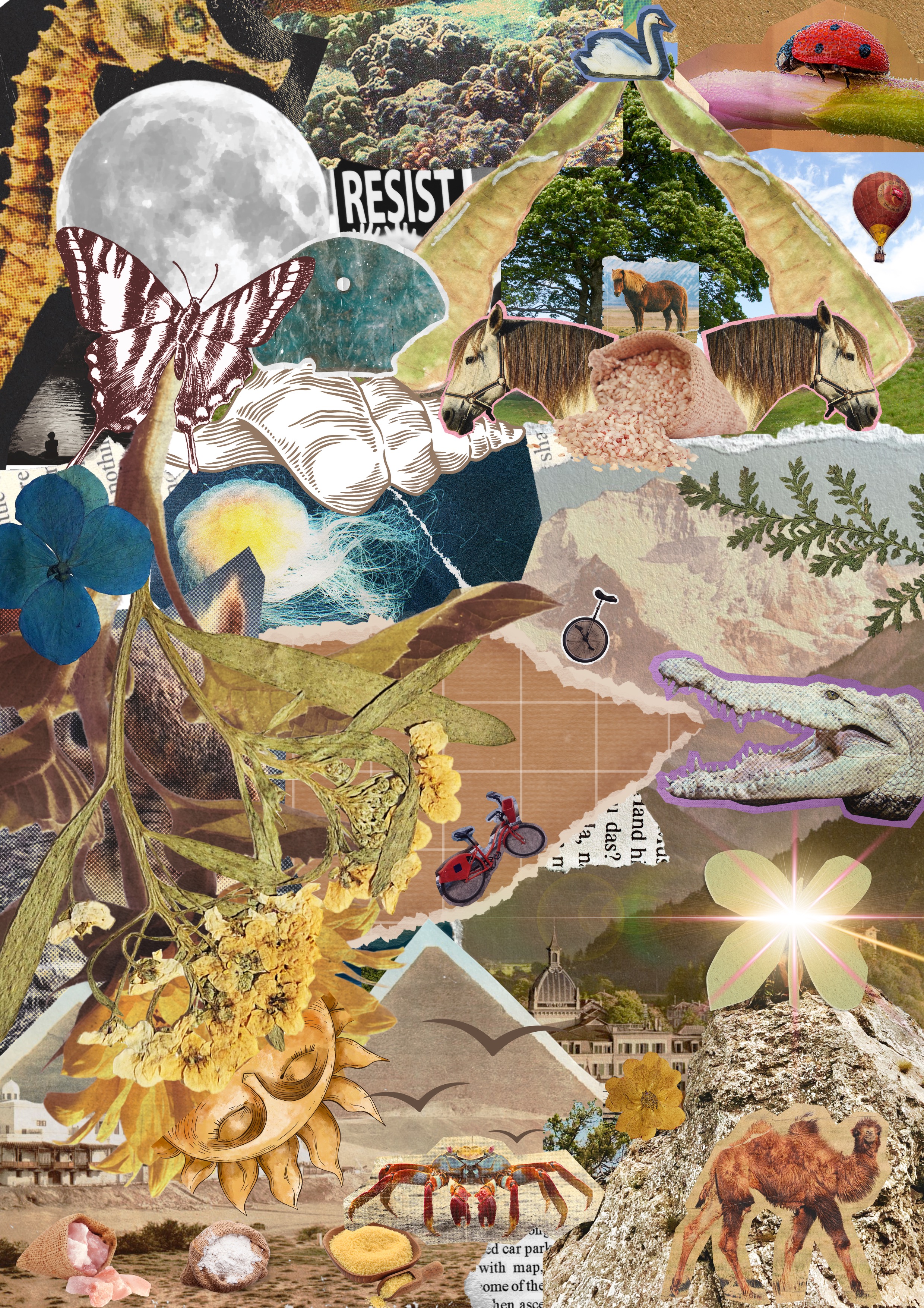 Collage Art for the 2024 Issue